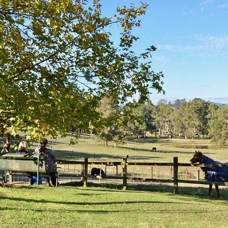 Hotel The Stables Wandin North Exterior foto