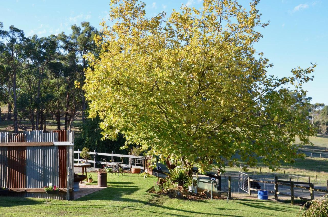 Hotel The Stables Wandin North Exterior foto
