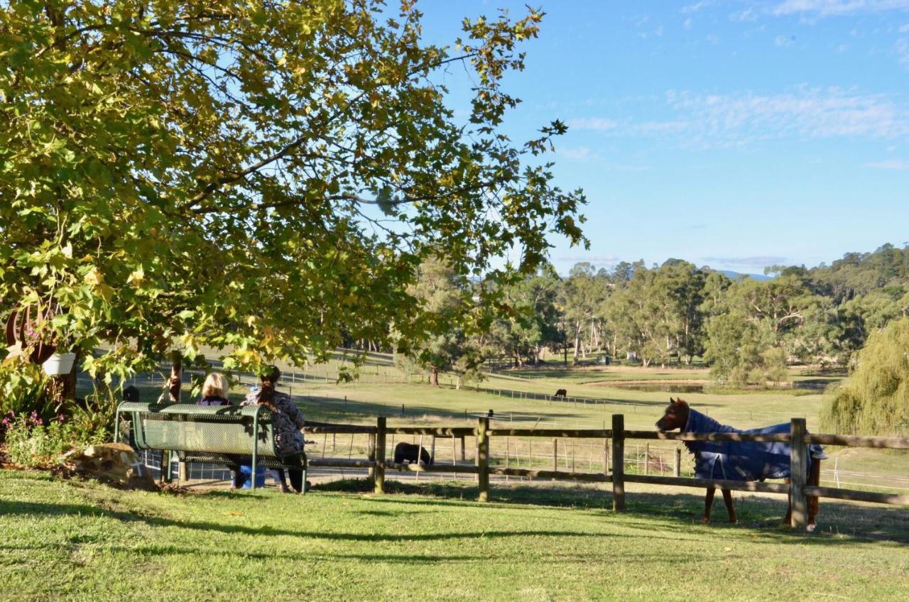 Hotel The Stables Wandin North Exterior foto