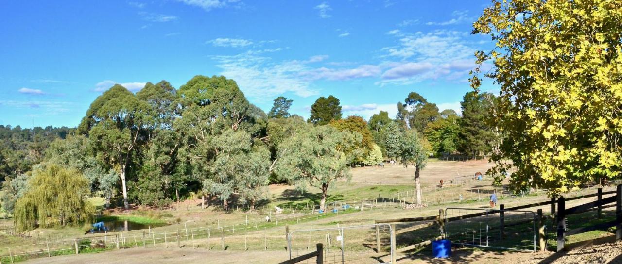Hotel The Stables Wandin North Exterior foto